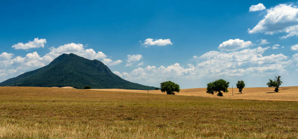 Rural landscape in the Rome province between Faleria and Fiano Romano, near Civita Castellana, at summer