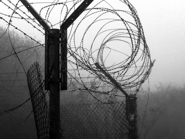 istock barbed wire and fog 1181810783
