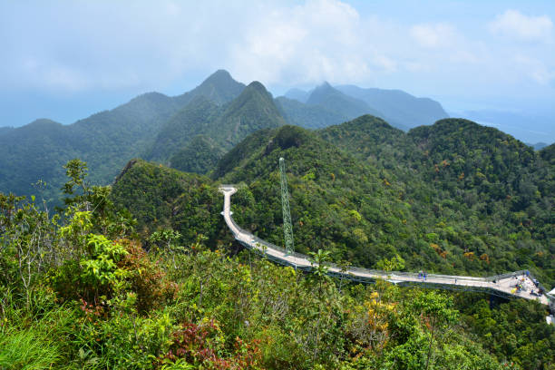 pont de ciel de langkawi - tropical rainforest elevated walkway pulau langkawi malaysia photos et images de collection