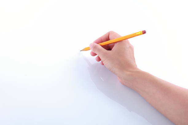 woman hand writing with a pencil - human hand pencil women sketching imagens e fotografias de stock