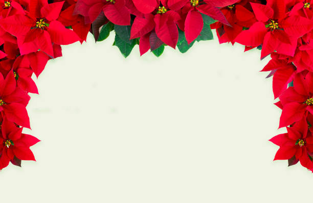 istock Christmas red, side basket, Christmas card, back map 1181814719