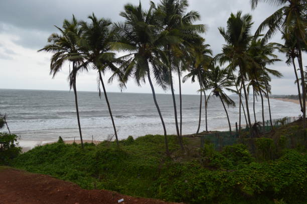 istock Candolim beach, Goa, India 1181814794