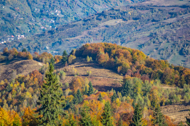 istock Autumn landscape in the mountains 1181817171
