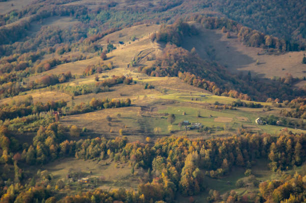 istock Autumn landscape in the mountains 1181817217
