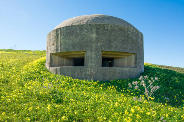 istock German bunker in Sicily, near Gela 1181817902