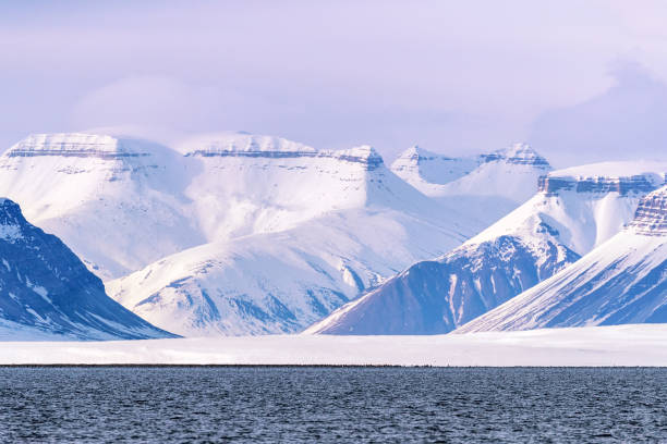 istock Pink glow of dusk in Svalbard 1181821668