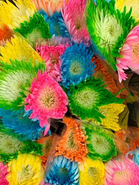istock Bouquets of brightly colored flowers 1181821777