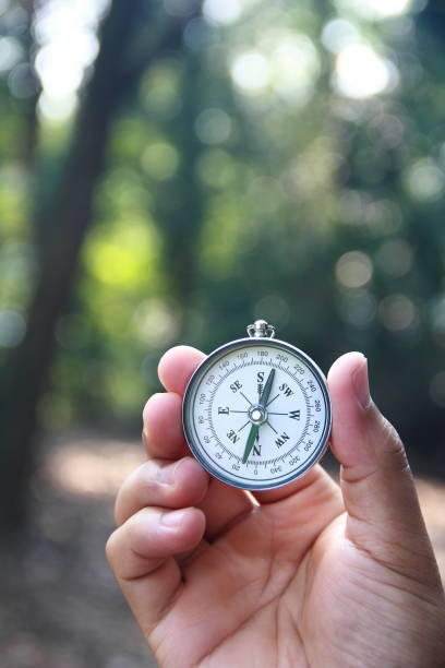 istock Male hand holding compass in the forest 1181822092
