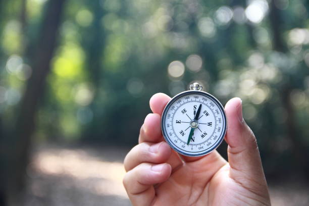 istock Male hand holding compass in the forest 1181822098