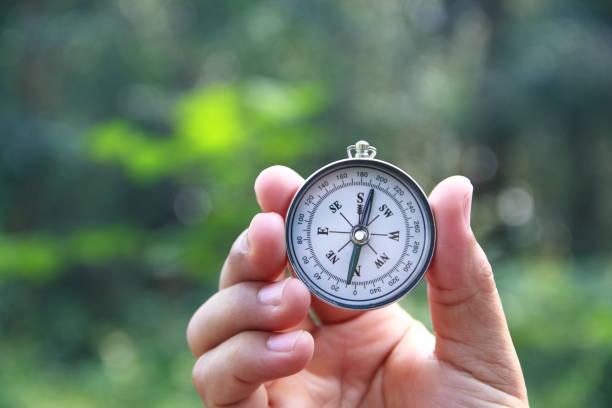 istock Male hand holding compass in the forest 1181822112