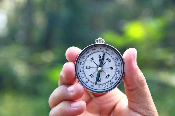 istock Male hand holding compass in the forest 1181822121