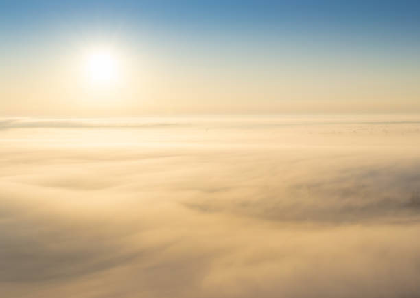 Rapeseed flowers of Luoping in Yunnan China from the top in a dense fog during the sunrise, beautiful light with copy space for text