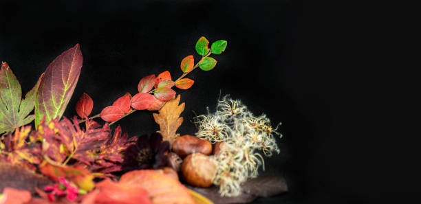 istock Banner in black and Autumn colors 1181823071