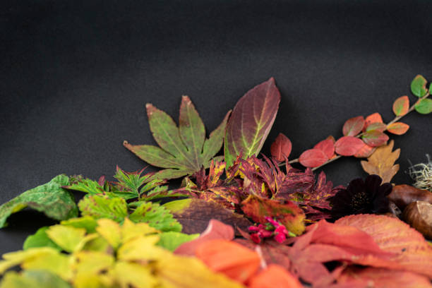 istock Copy space with Autumn colors 1181824160