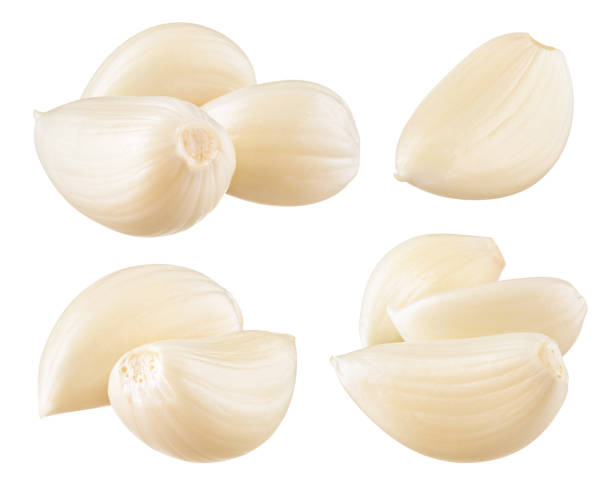 istock Garlic cloves. Garlic isolated. With clipping path. Collection. 1181828473