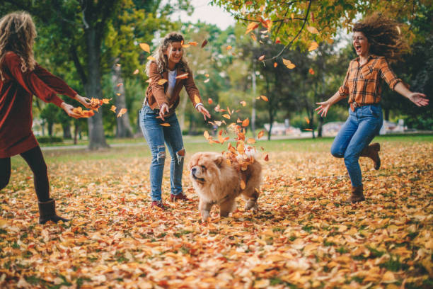 istock You are our happiness 1181832492