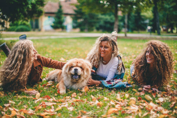 istock We are happy together 1181832716