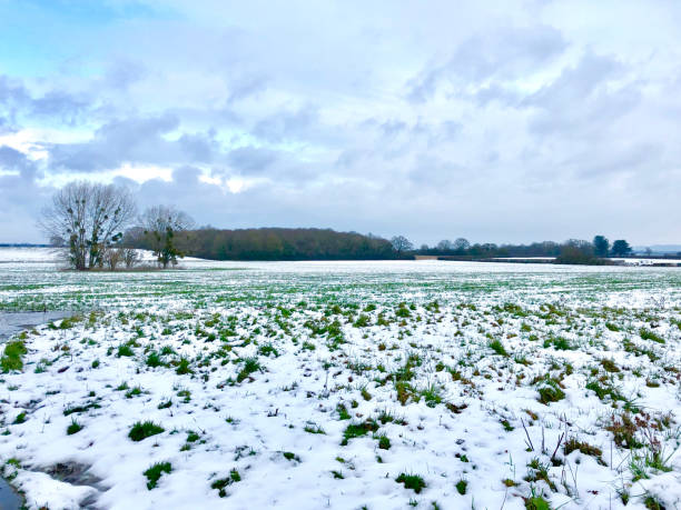 istock Winter farmland in England 1181833430