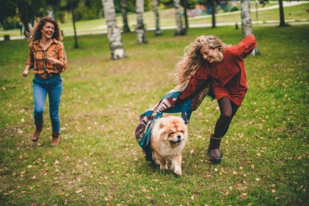 istock We love to play with our dog 1181833534