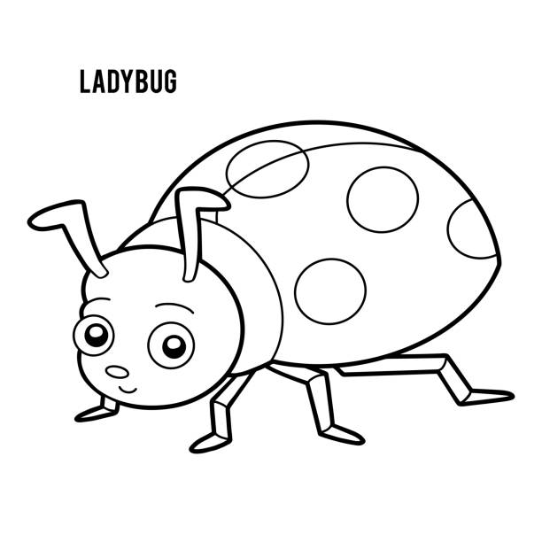 Ilustración de Libro Para Colorear Ladybug y más Vectores Libres de  Derechos de Contorno - Contorno, Mariquita, Animal - iStock