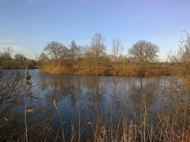 istock Reflections of autumn 1181841231