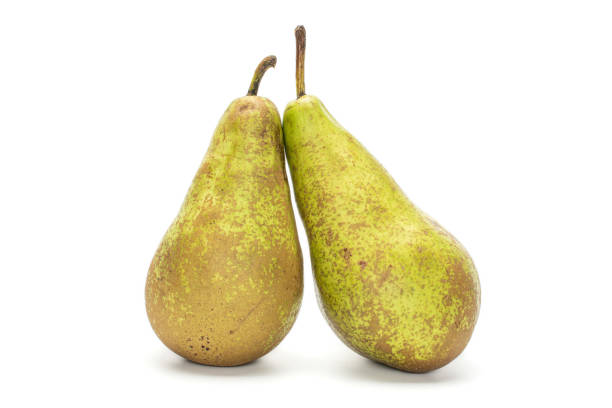 Fresh green conference pear isolated on white