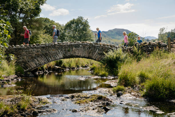 Senior Friends Crossing Stone Bridge. Group of senior friends out walking in the lakes crossing bridge english lake district photos stock pictures, royalty-free photos & images