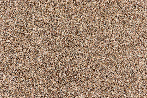 istock Sand texture as background. Top view of sandy beach. 1181842130
