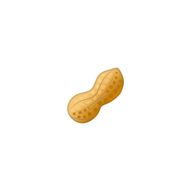 ilustrações, clipart, desenhos animados e ícones de ícone do vetor dos amendoins. amendoim isolado emoji da fruta secada, ilustração do emoticon - peanut nut snack isolated