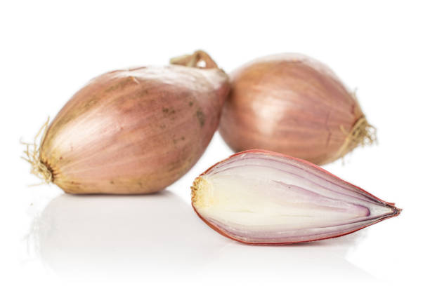 istock Fresh brown shallot isolated on white 1181843704