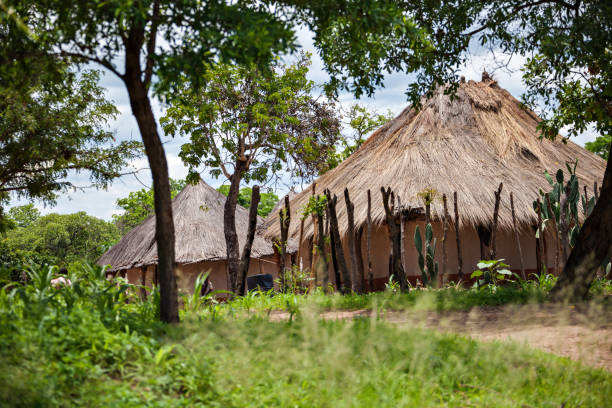 istock Typical traditional African village 1181846208