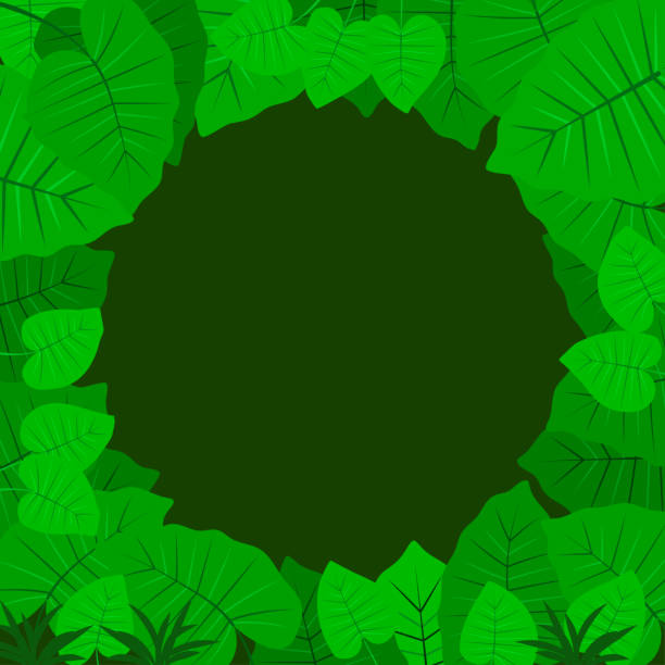 istock Tropical Jungle background. Leaves of the tropical trees and plants as frame 1181850940