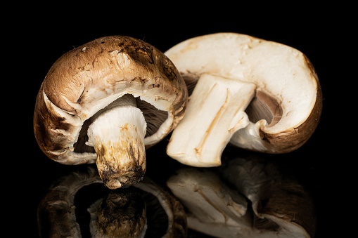 Group of one whole one half of fresh brown mushroom champignon isolated on black glass