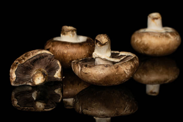 istock Fresh brown mushroom isolated on black glass 1181851702