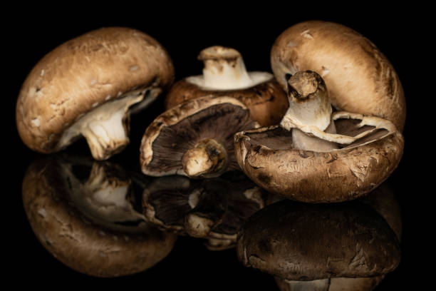 istock Fresh brown mushroom isolated on black glass 1181851724