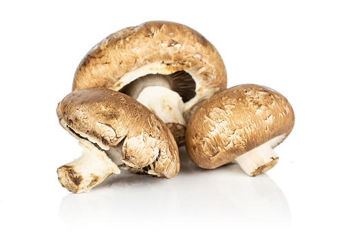Group of three whole fresh brown mushroom champignon isolated on white background