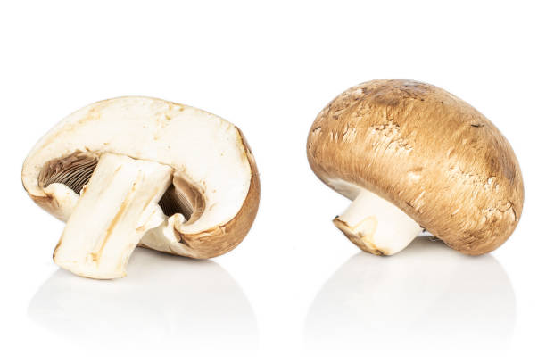 Fresh brown mushroom isolated on white Group of one whole one half of fresh brown mushroom champignon isolated on white background crimini mushroom stock pictures, royalty-free photos & images