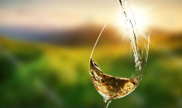 vino. - wine pouring wineglass white wine fotografías e imágenes de stock