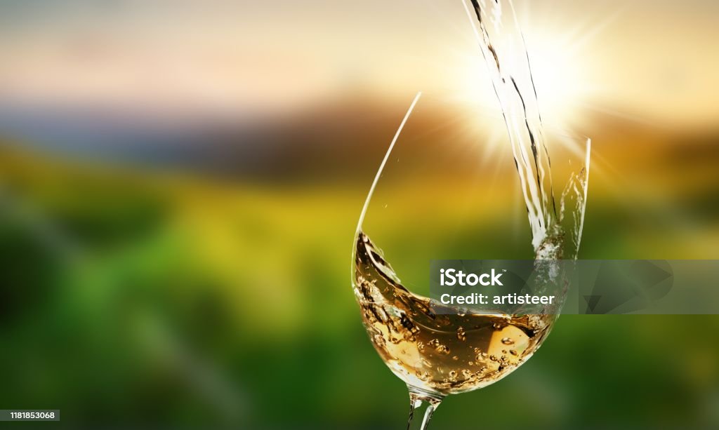 Wine. White wine splash isolated on background White Wine Stock Photo