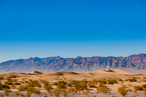 Mesquite Flat Sand Dunes in Death Valley N.P. California, USA ,Nikon D3x
