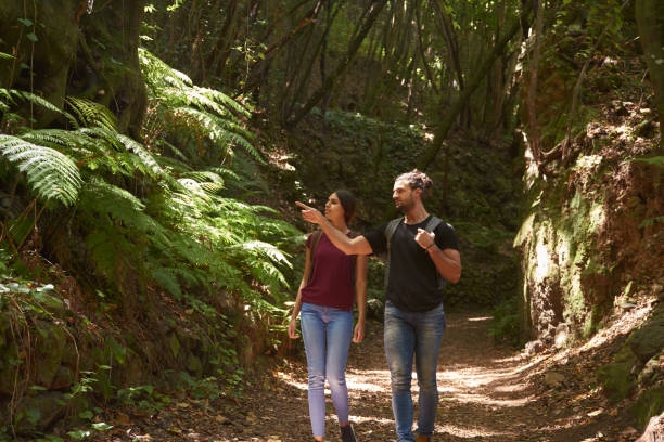 istock Man pointing at the large tree ferns 1181853343