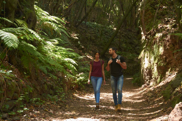 istock Couple walking next to large tree ferns 1181853653