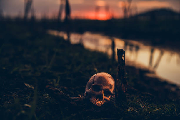 istock Happy Halloween. Skull and scary scene. 1181857334