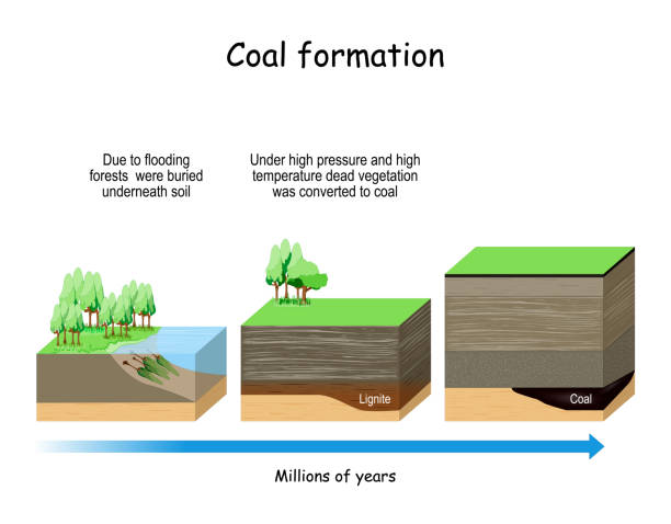 ilustrações de stock, clip art, desenhos animados e ícones de coal formation - lignite