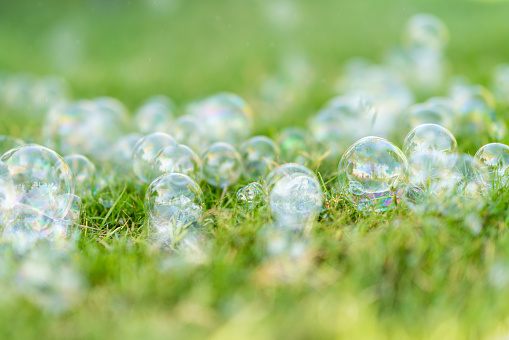 many soap bubbles landing on the green lawn.