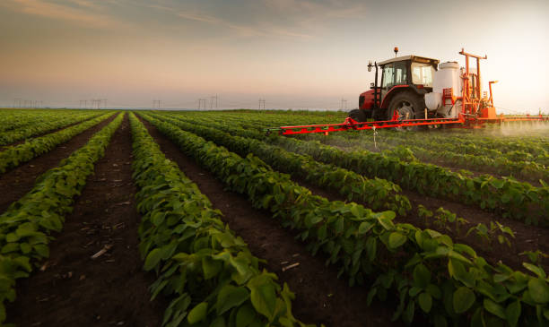 tractor pulverizando pesticidas en el campo de soja con pulverizador en primavera - fertilizante fotos fotografías e imágenes de stock