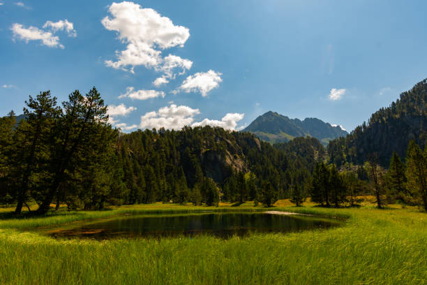 istock Beautiful pond in La Vall d'Aran 1181860431