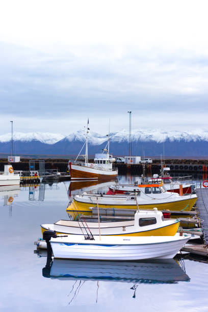 istock Dalvik, Iceland: Boats in Harbor, Snowy Mountain Background 1181860733