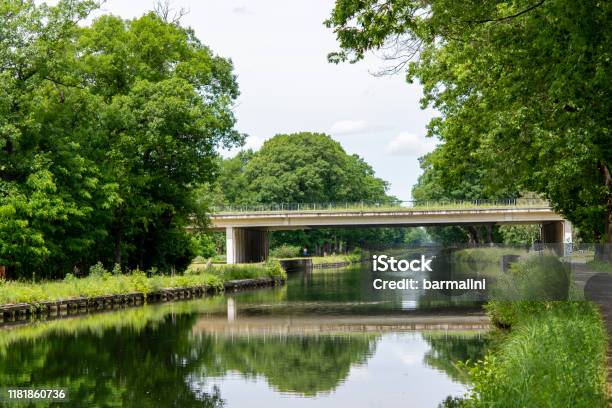 Waterways In Belgium Manmade Canal With Oak Trees Alley Stock Photo - Download Image Now