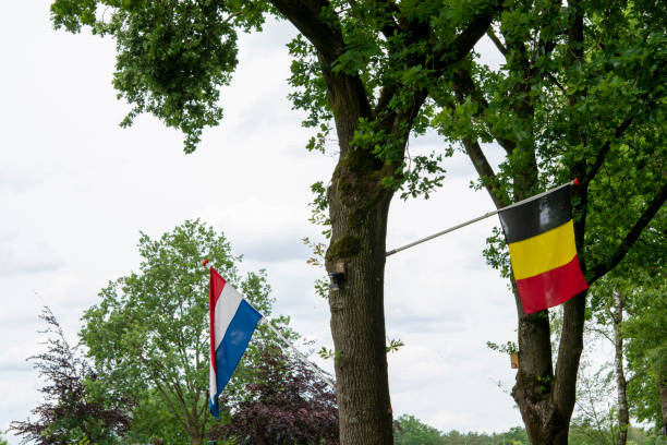istock Borders inside European Union between Netherlands and Belgium, two flags on tree 1181860754